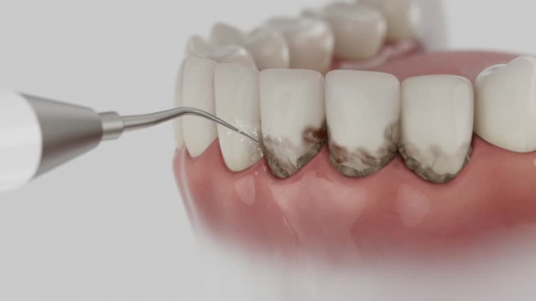 Reliable Dental contractor in Bastrop, LA by Dentist Open Now